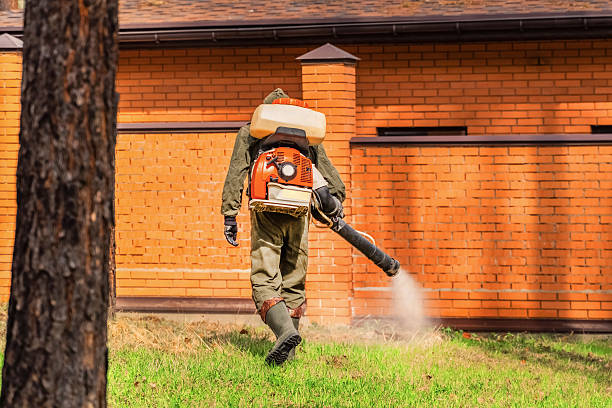Bed Bug Clearance Verification and Documentation in Longwood